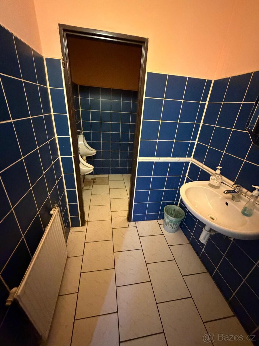 Dům s komerčním prostorem, Libčeves - 10