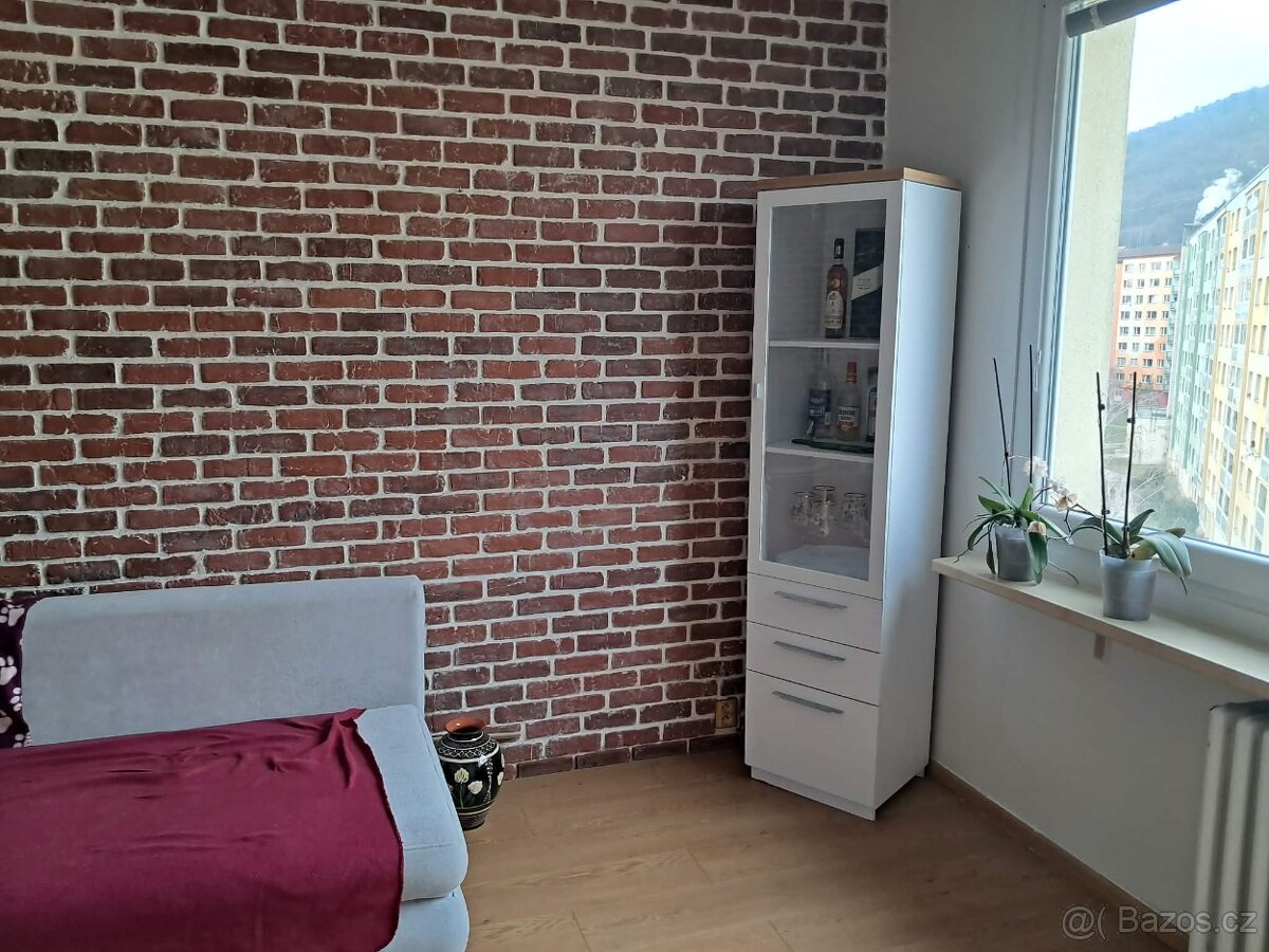 Prodej bytu 3+1 - 10