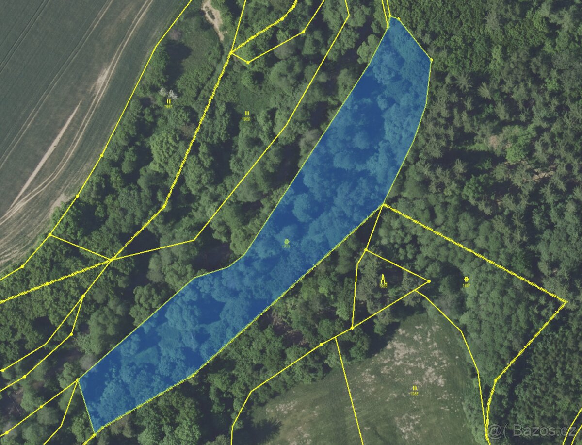 Prodám pozemky v katastrálním území Louňovice pod Blaníkem - 10