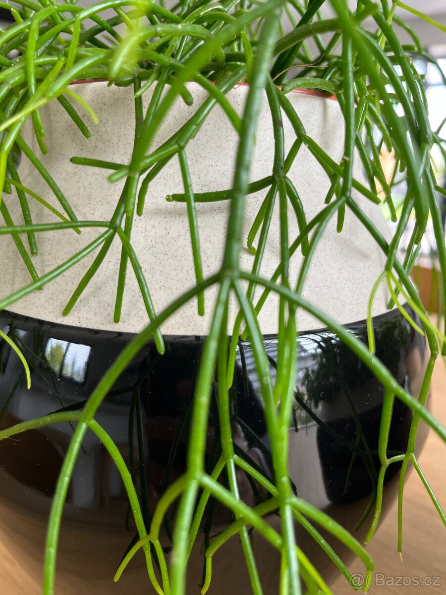 Vázy/dekorace na stojanu HM - 10