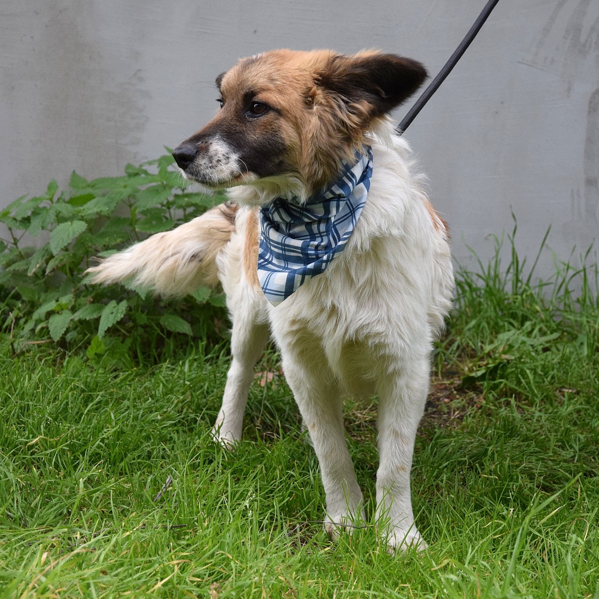 Olim hledá domov - 10