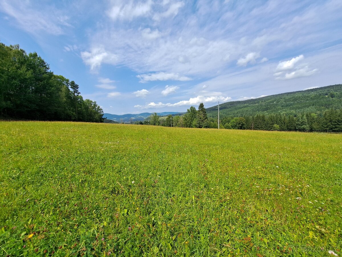 Prodej 2 ATRAKTIVNÍCH stavebních pozemeků na Šumavě se 3 sta - 10