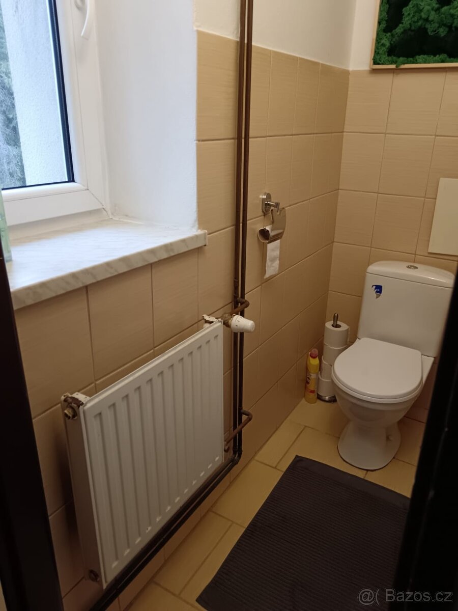 Byt 2+1 v centru Příbora - 10