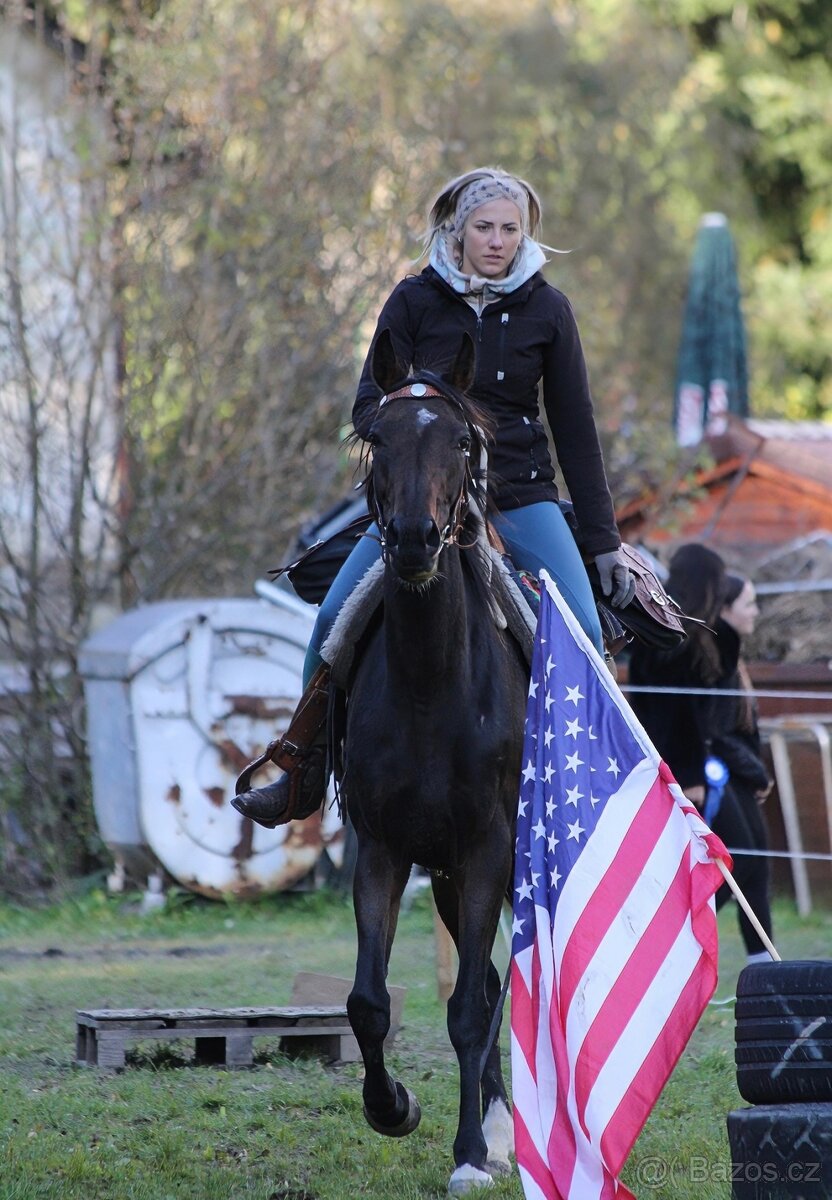 Klisna A1/1 9let - 10