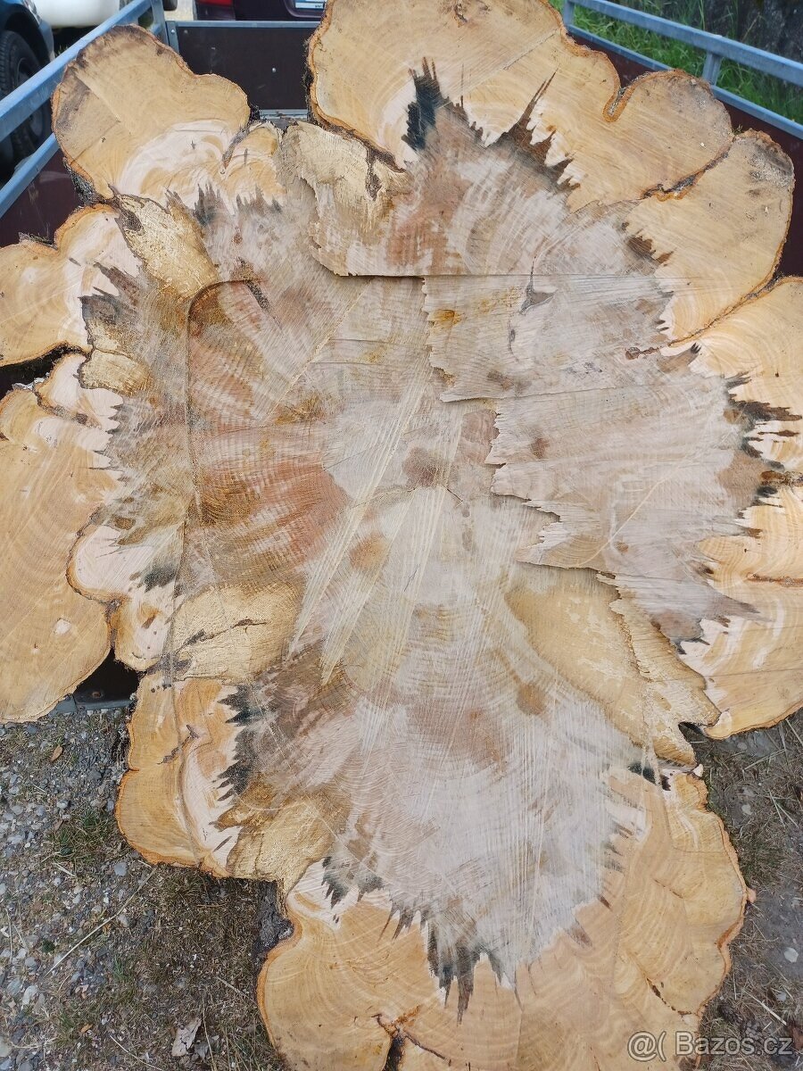 Listnaté koláče Habr Buk - 10