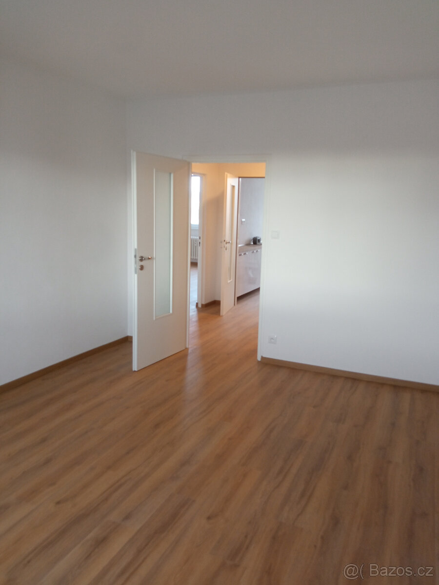 Pronájem bytu 2+1 - 10