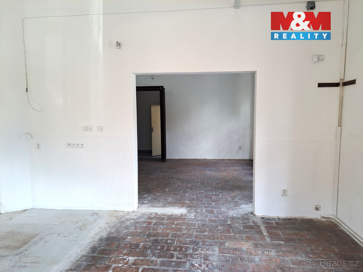 Pronájem obchodního prostoru, 221m2, ul. Riegrova, Brno - 10