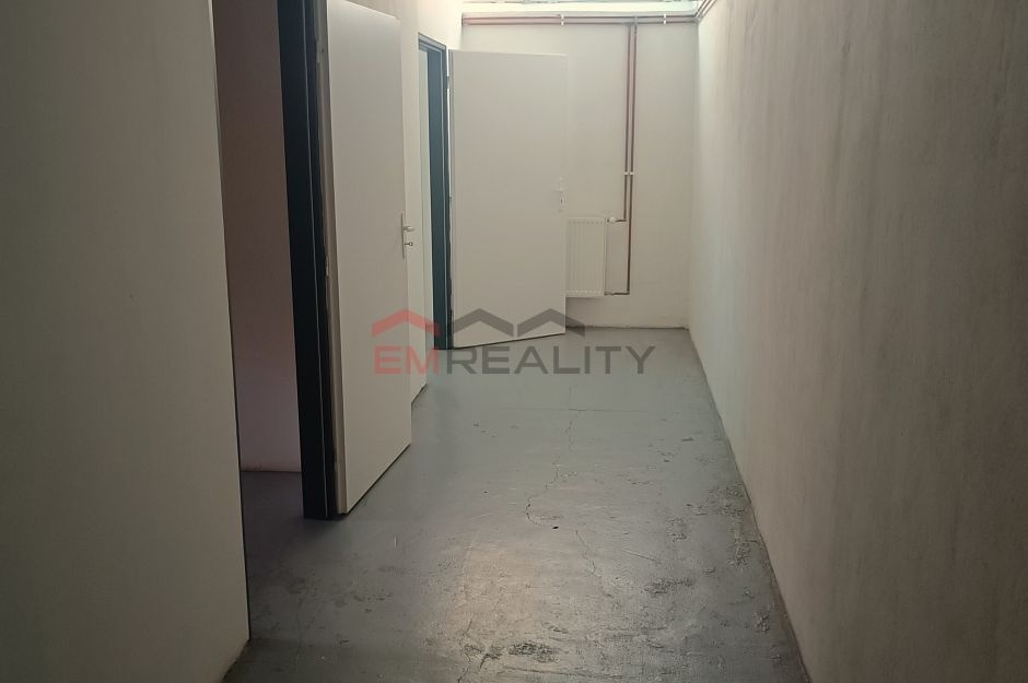 Pronájem komerčních prostor - 10