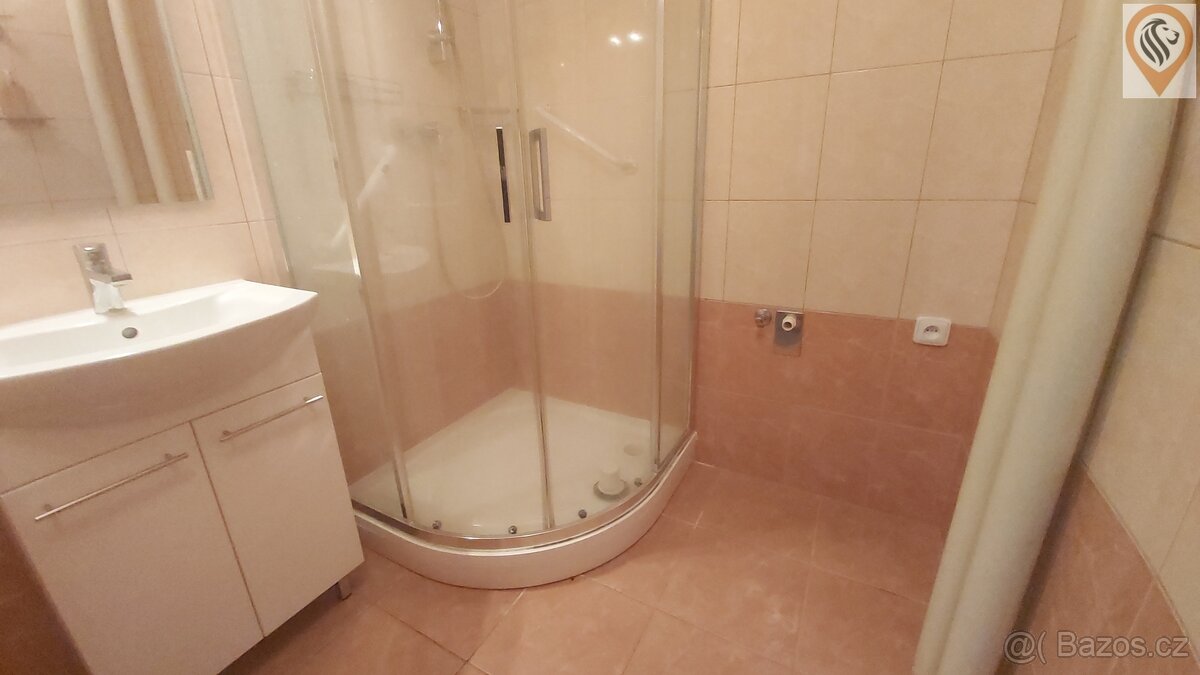 Nájem zařízeného bytu 2+1, Pod Koníčky, Klatovy - 10