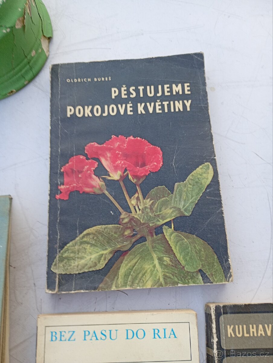 Různé Staré Knihy - 10