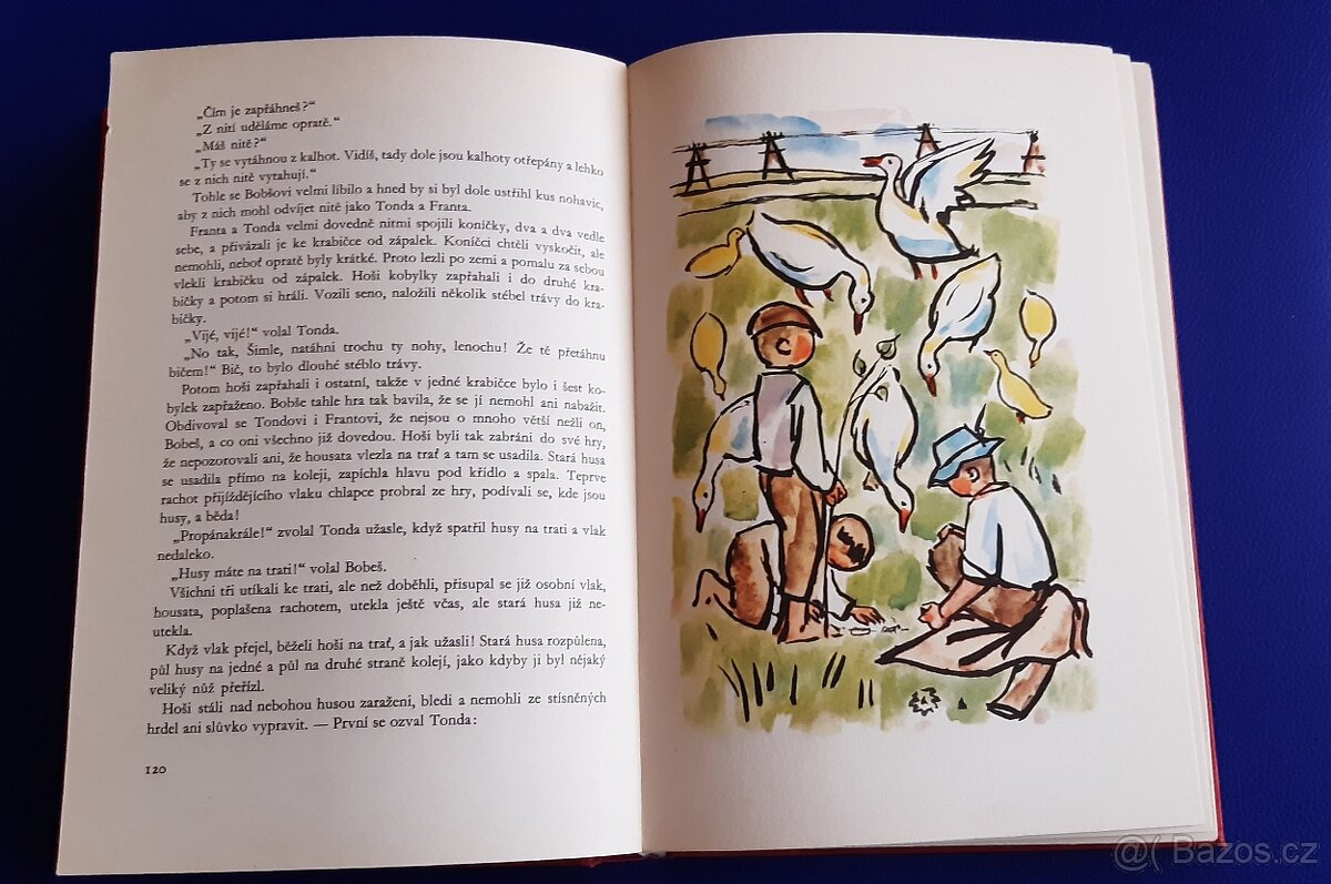 Knížky - staré - 10