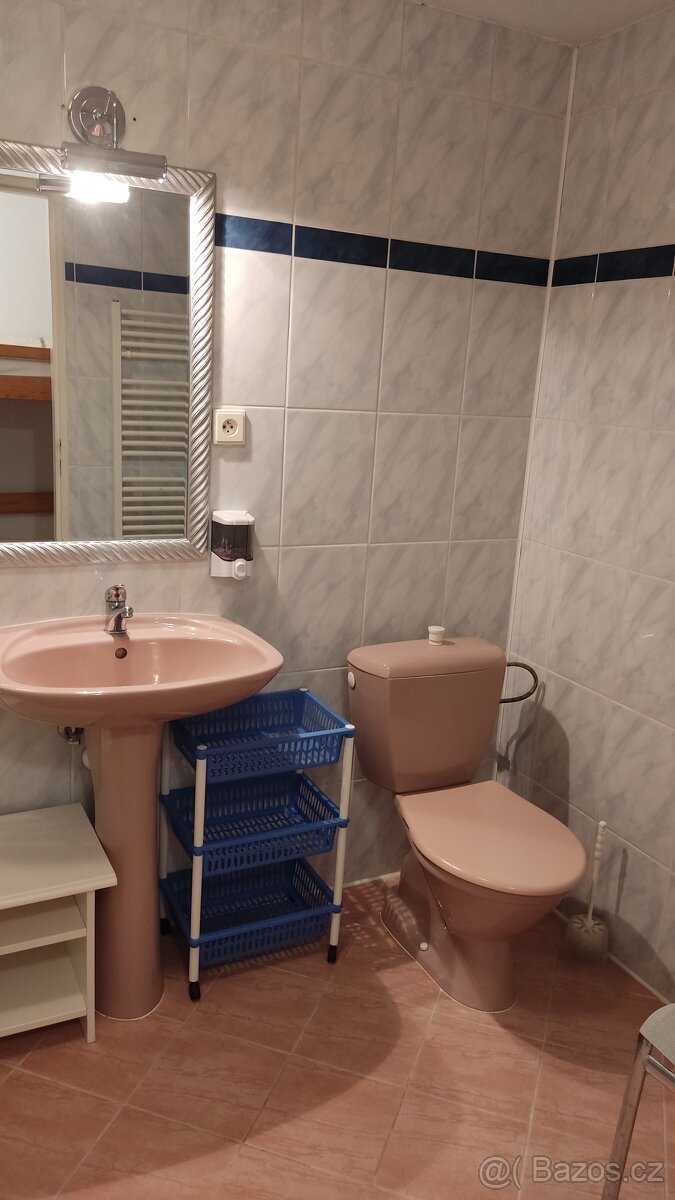 Pronájem Apartmánů Vranov nad Dyjí - 10