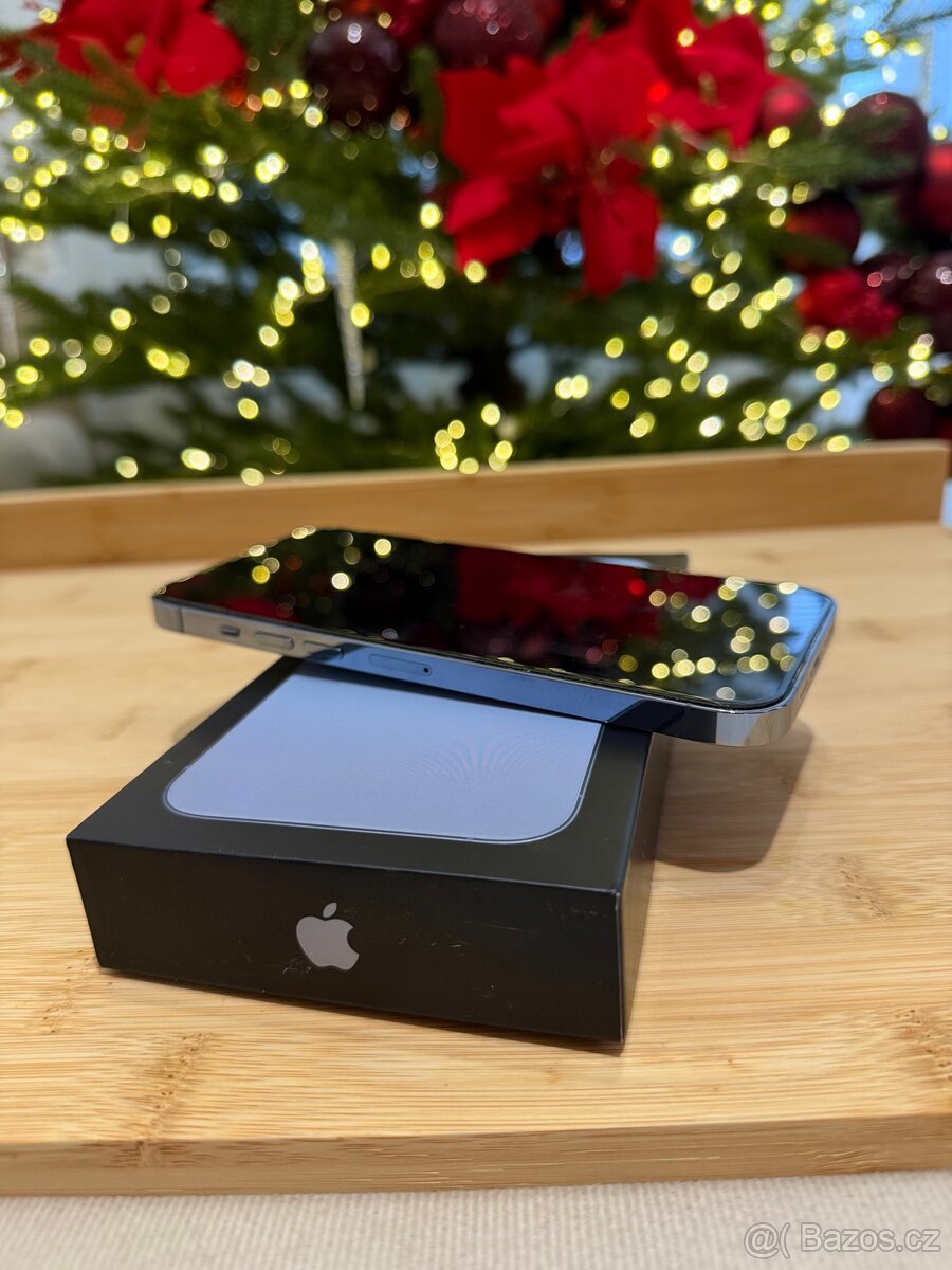 iPhone 13 pro max - 10