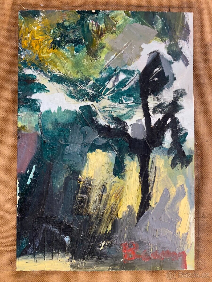 Starožitnosti (Knihy,obrazy,nádobí,Africké věci) - 10