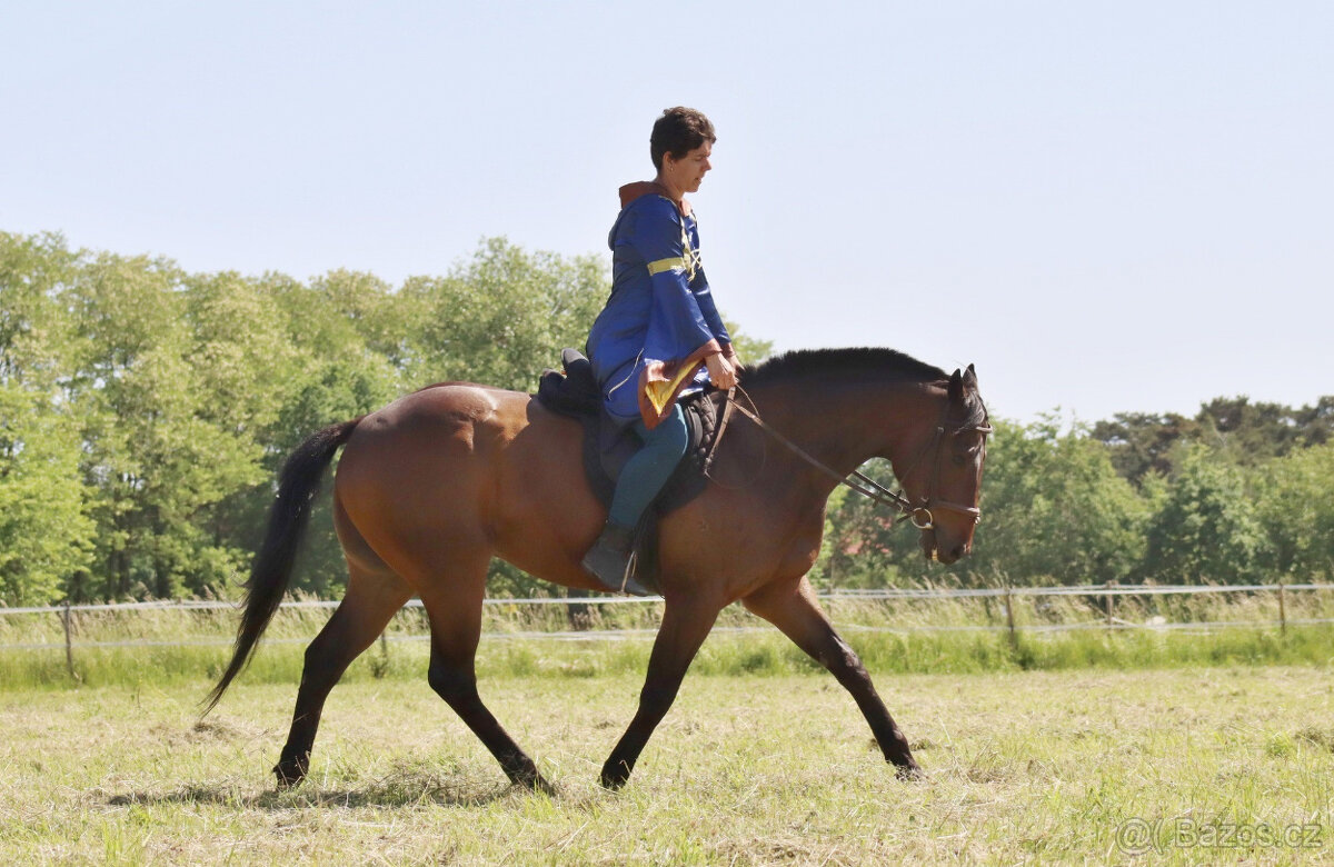 10letý valach A1/1 - 10