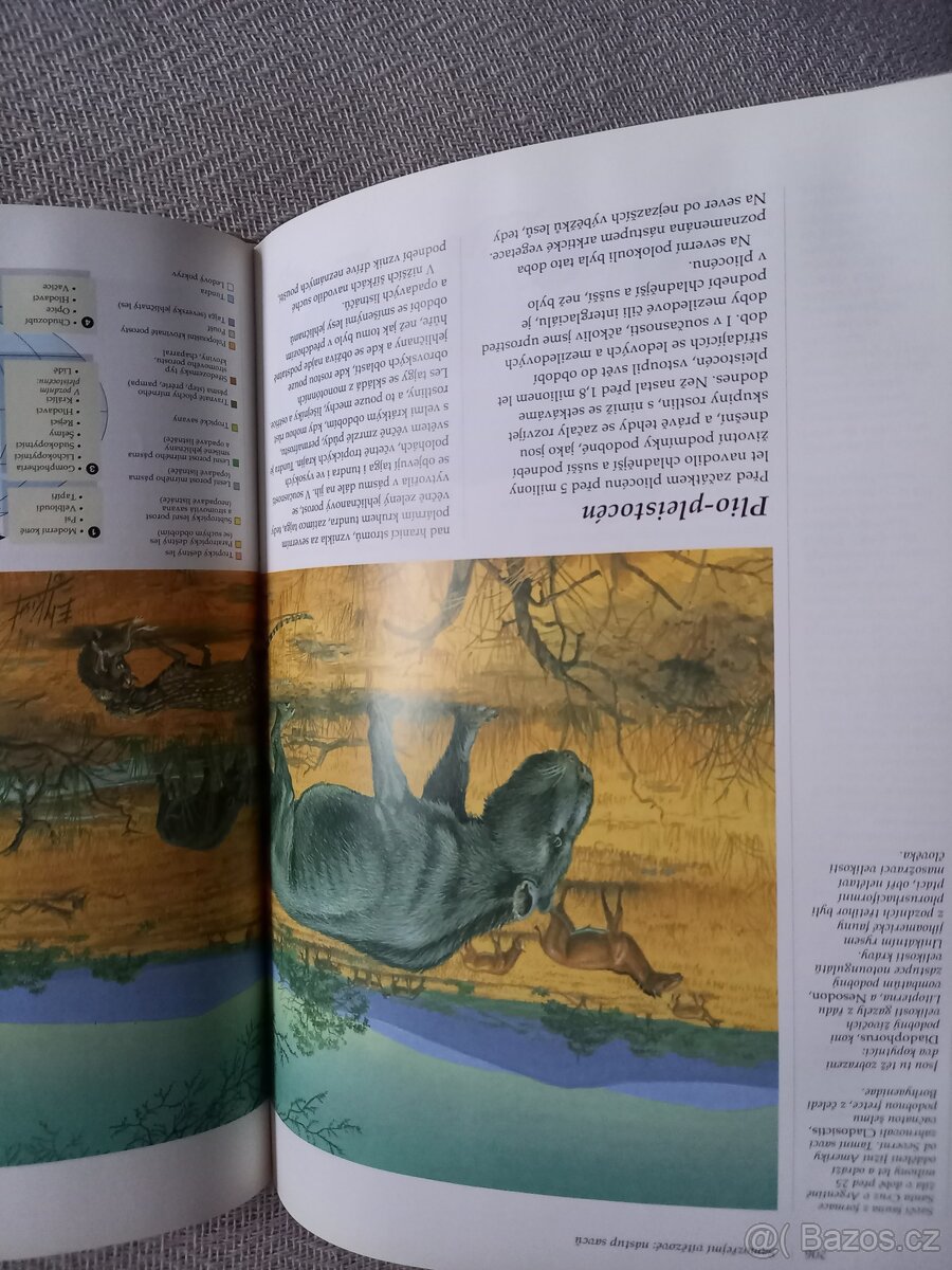 Dějiny planety země - 10