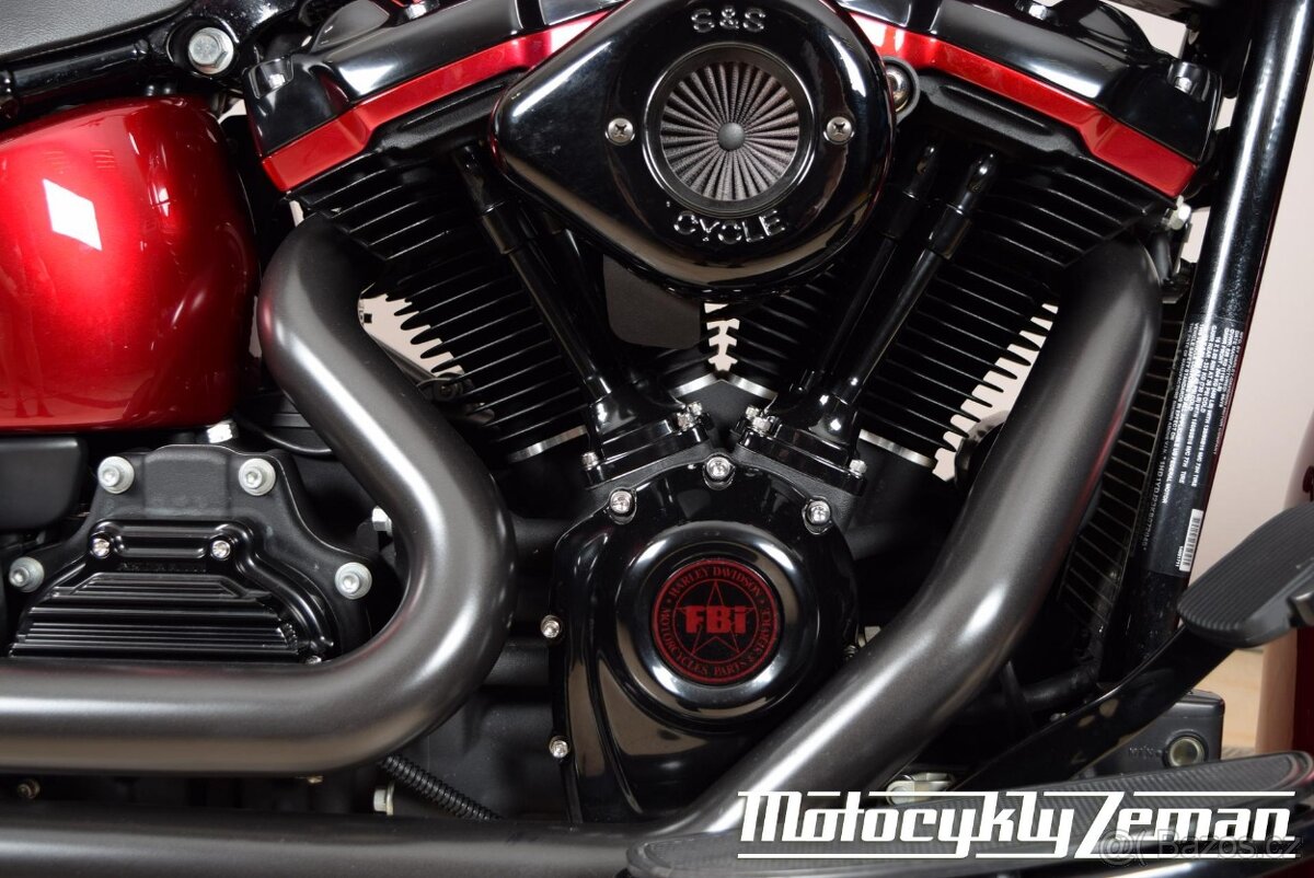 Harley-Davidson FLSL Softail Slim 2019 Chicano - 10