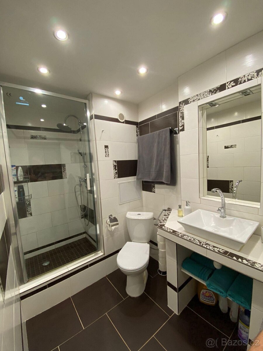 Pronájem bytu Střekov 2+1 - 10