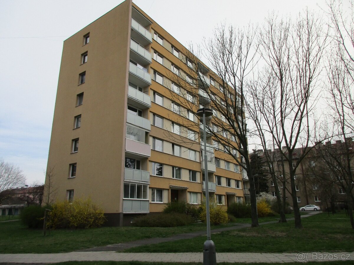 Pronájem bytu 1 + 0 (garsoniéra 23 m2) - 10