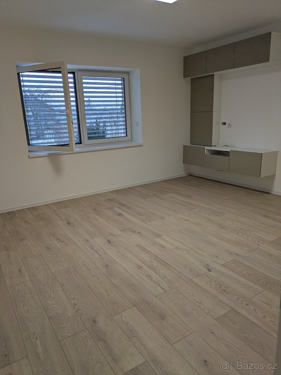 Byt k pronájmu 1+1 - 10