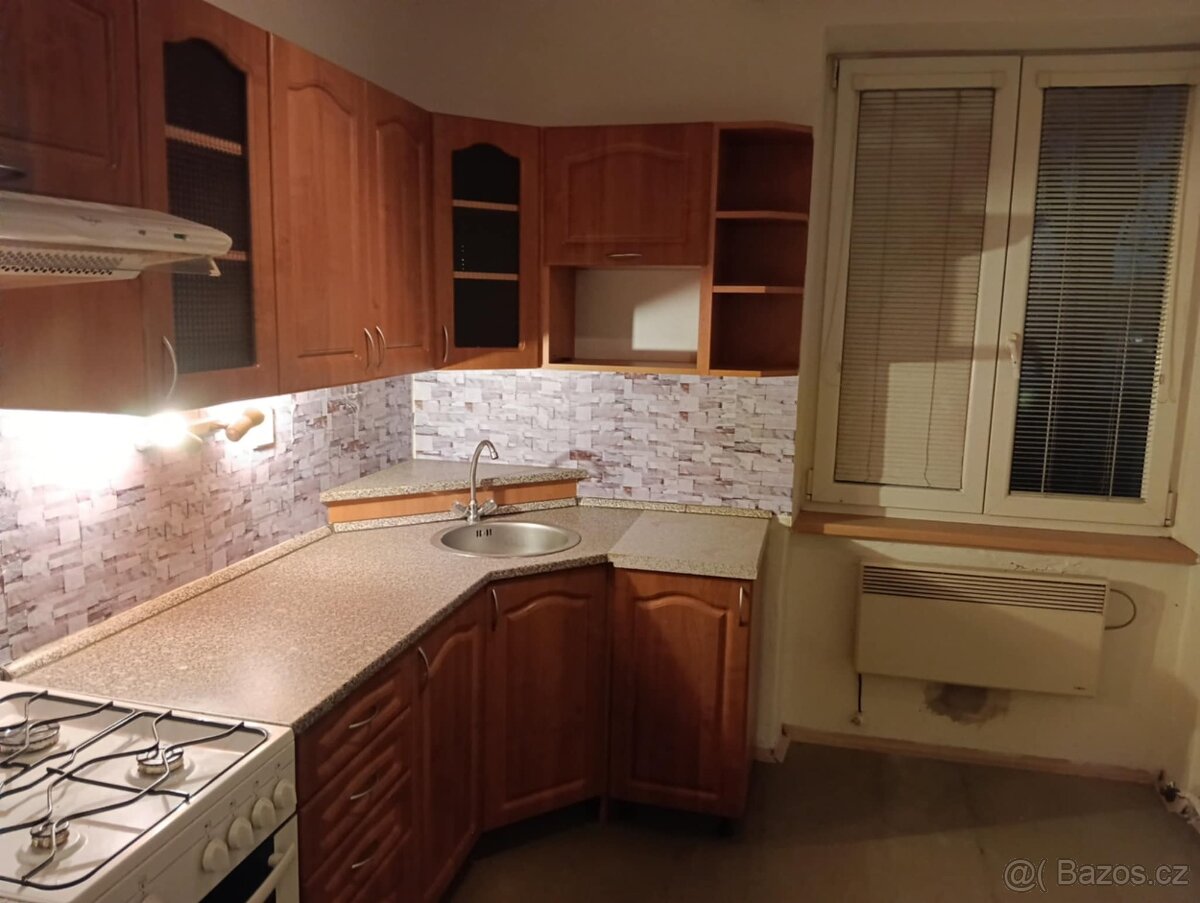 Pronajmu byt 1+1 - 10