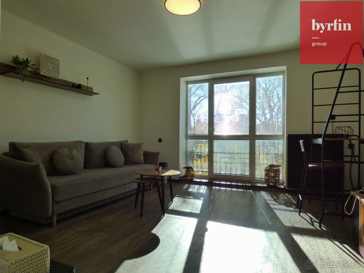 Pronájem bytu 2+1 ulice Rybářská - Opava - 10