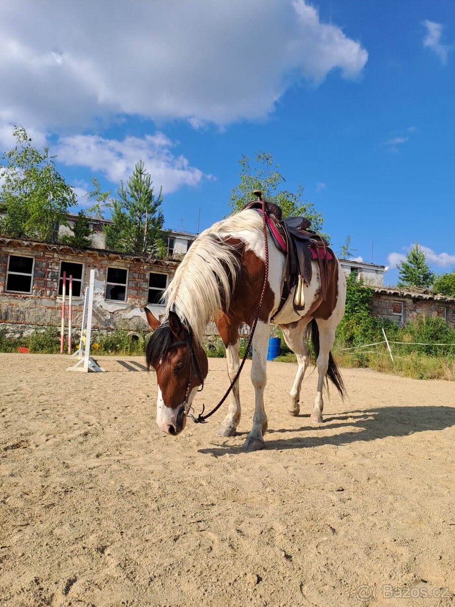 Westernové sedlo - 10