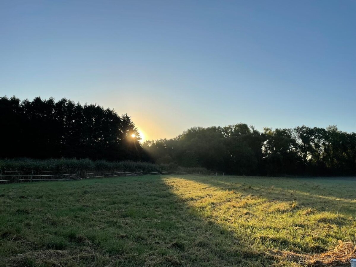 Pastevní ustájení 🌿🐴 - 10