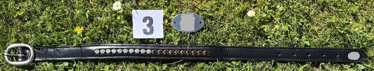 Kožený psí obojek bez připojení na vodítko, náhrdelník MIX - 10