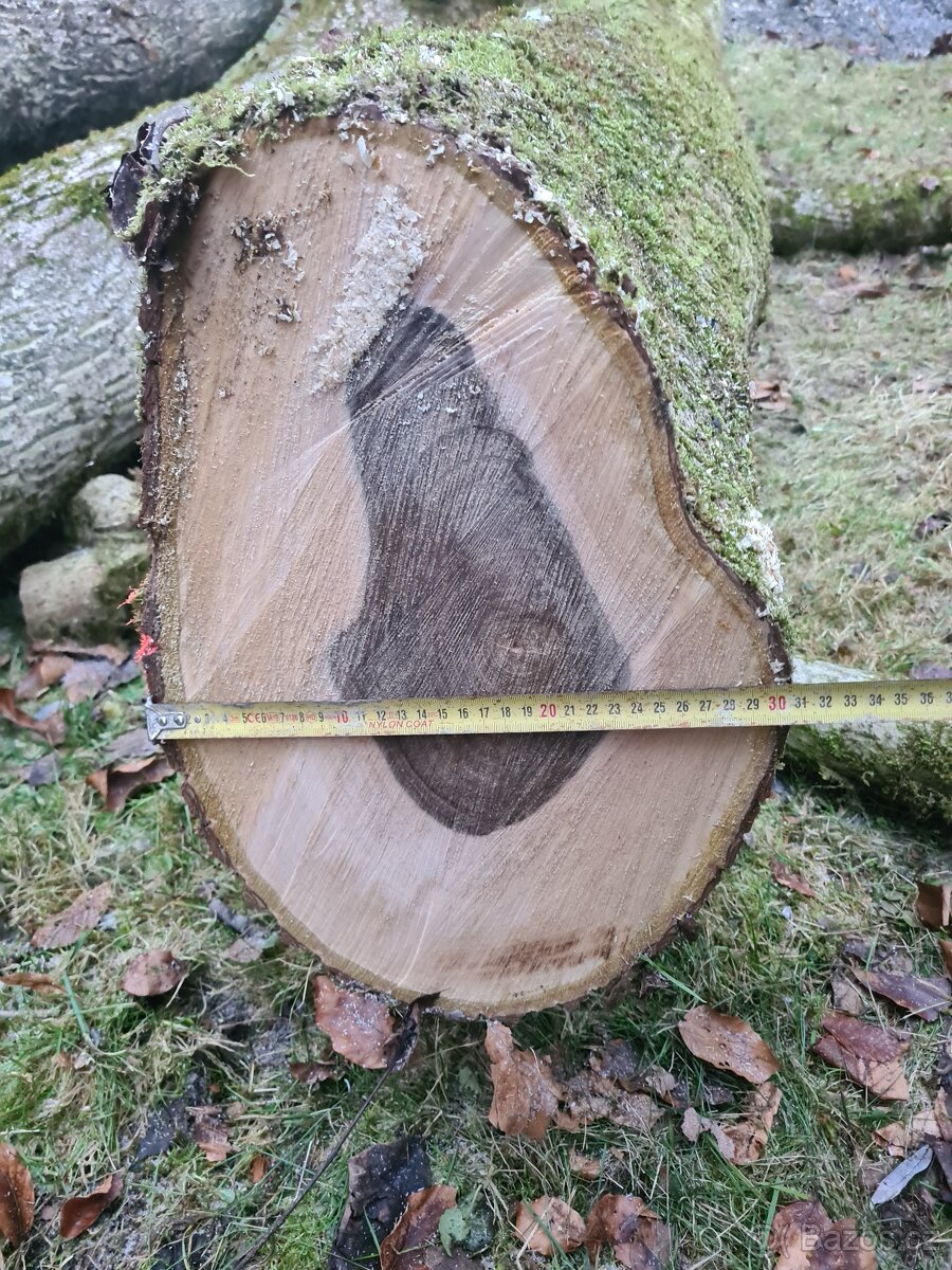 Prodám ořechové dřevo 1,5 m3 - 10