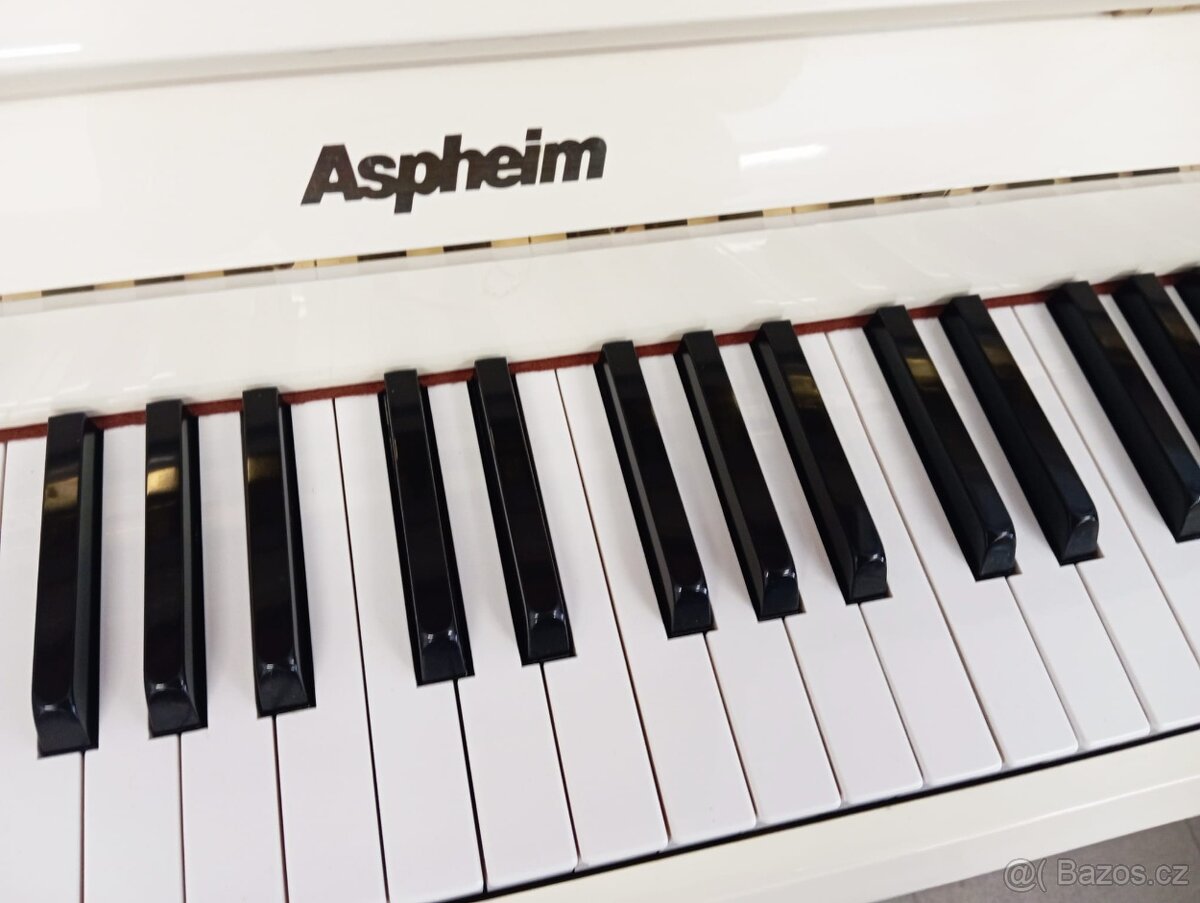 Aspheim (Hyundai)/lesk/-Dovoz i na Štědrý den 24.12. - 10