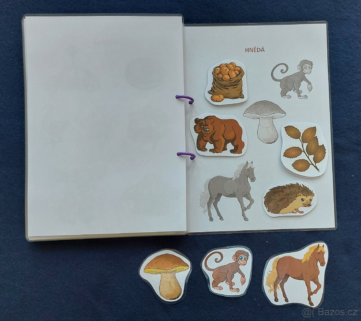 Pracovní sešit Barvy I. - 10