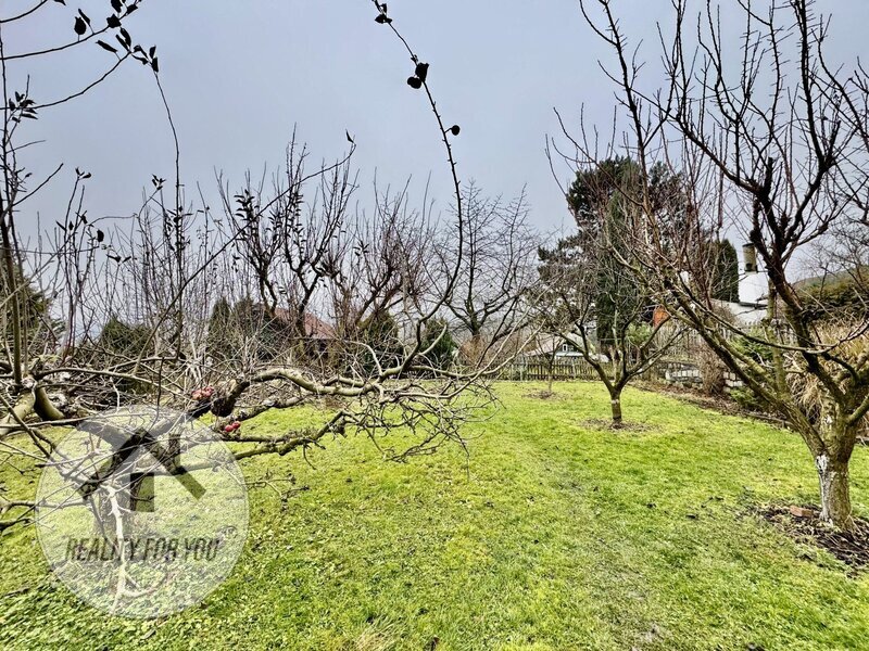 Prodej zahrádky se zděnou chatkou v oblíbené lokalitě Děčína - 10