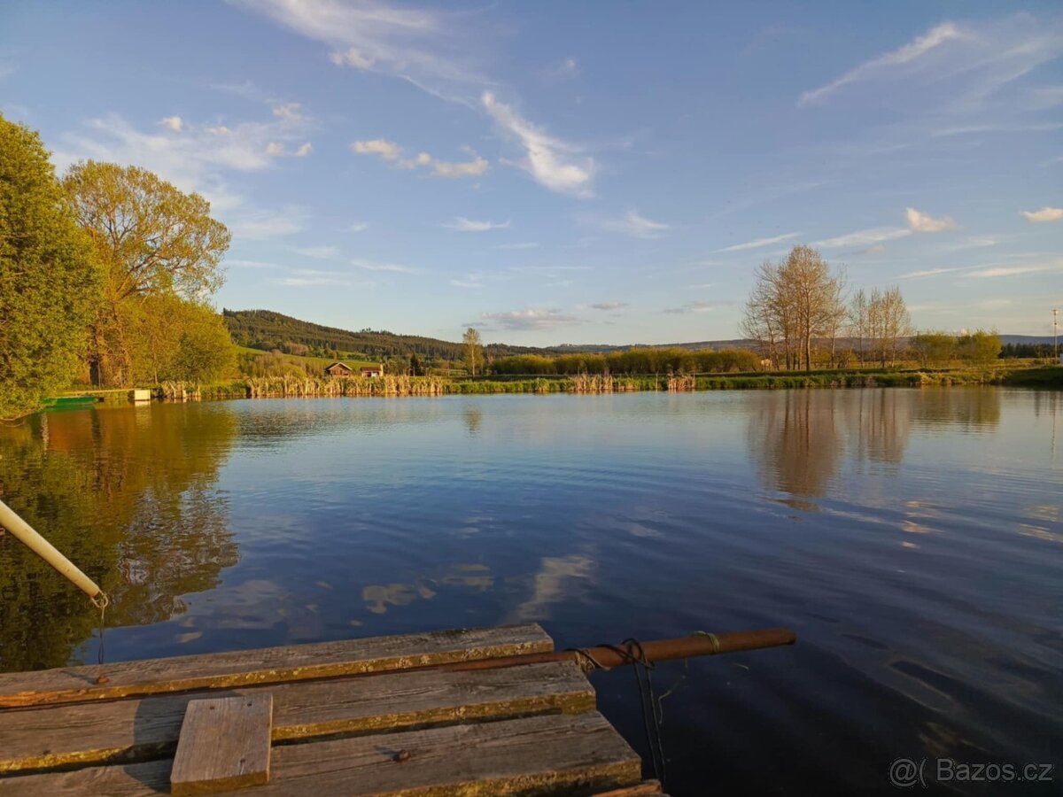 Živé ryby – tržní i okrasné | Volary (okr. Prachatice) - 10