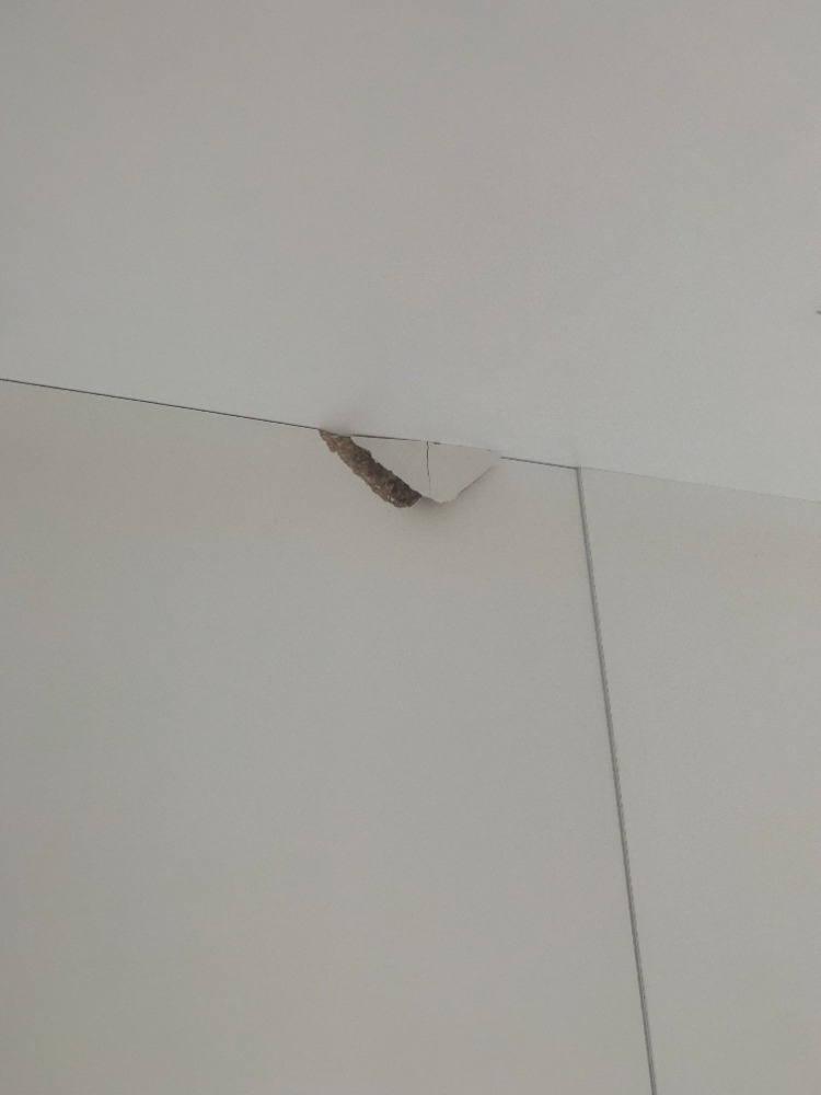 Patrová postel - 10