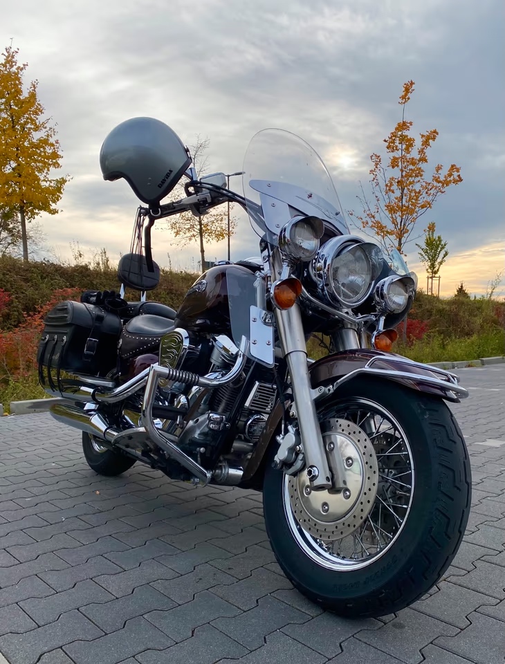 Yamaha XV 1600 WildStar - 10