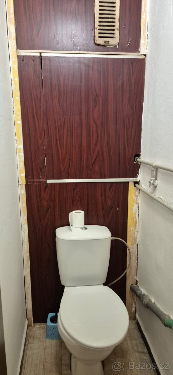 Pronájem bytu Ostrý u Jistebnice - 10