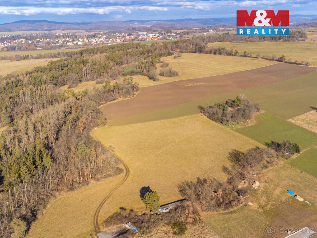 Prodej louky, 11767 m², Benešov - 10