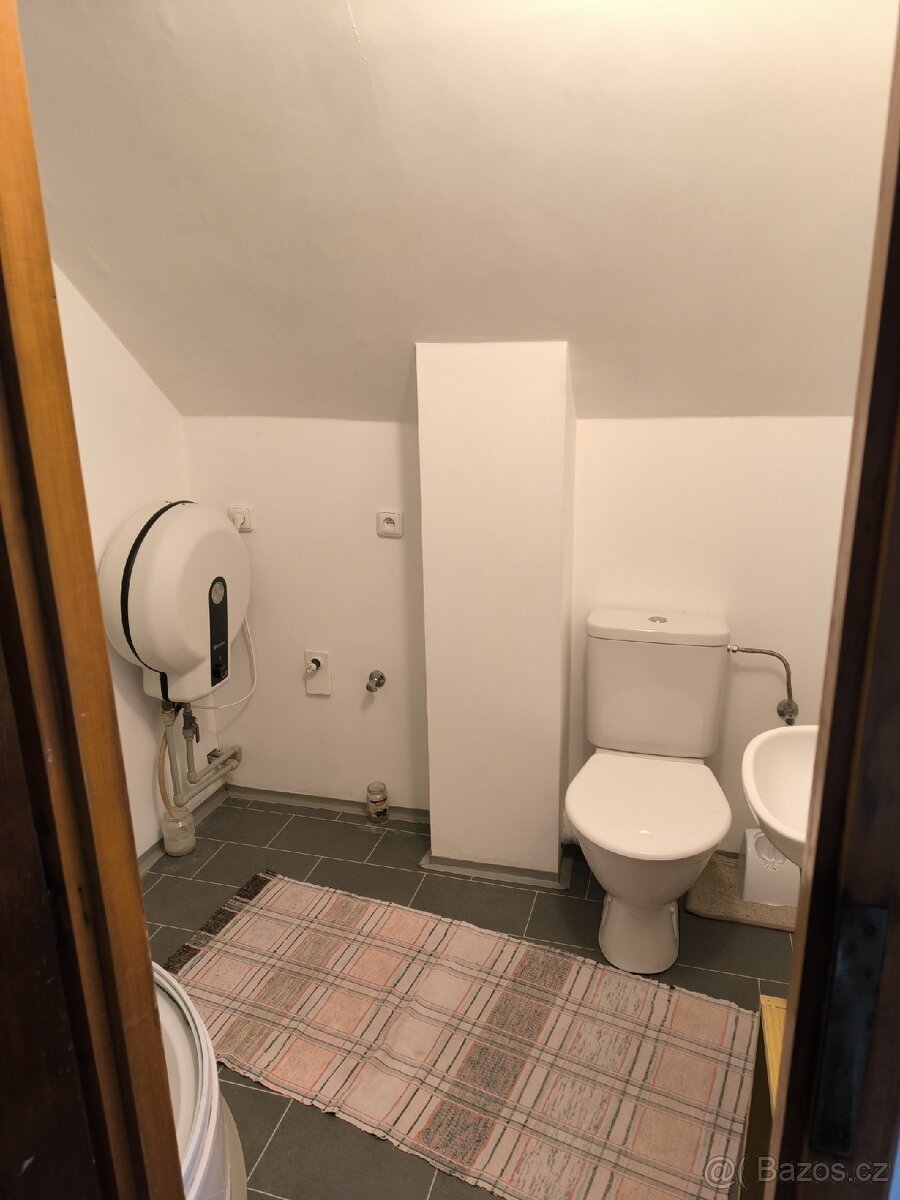 Pronájem podkrovního bytů 2+1 - 10
