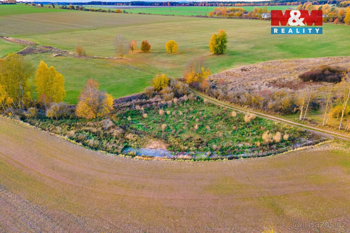 Prodej louky, 672 m², Vysoká Libyně - 10