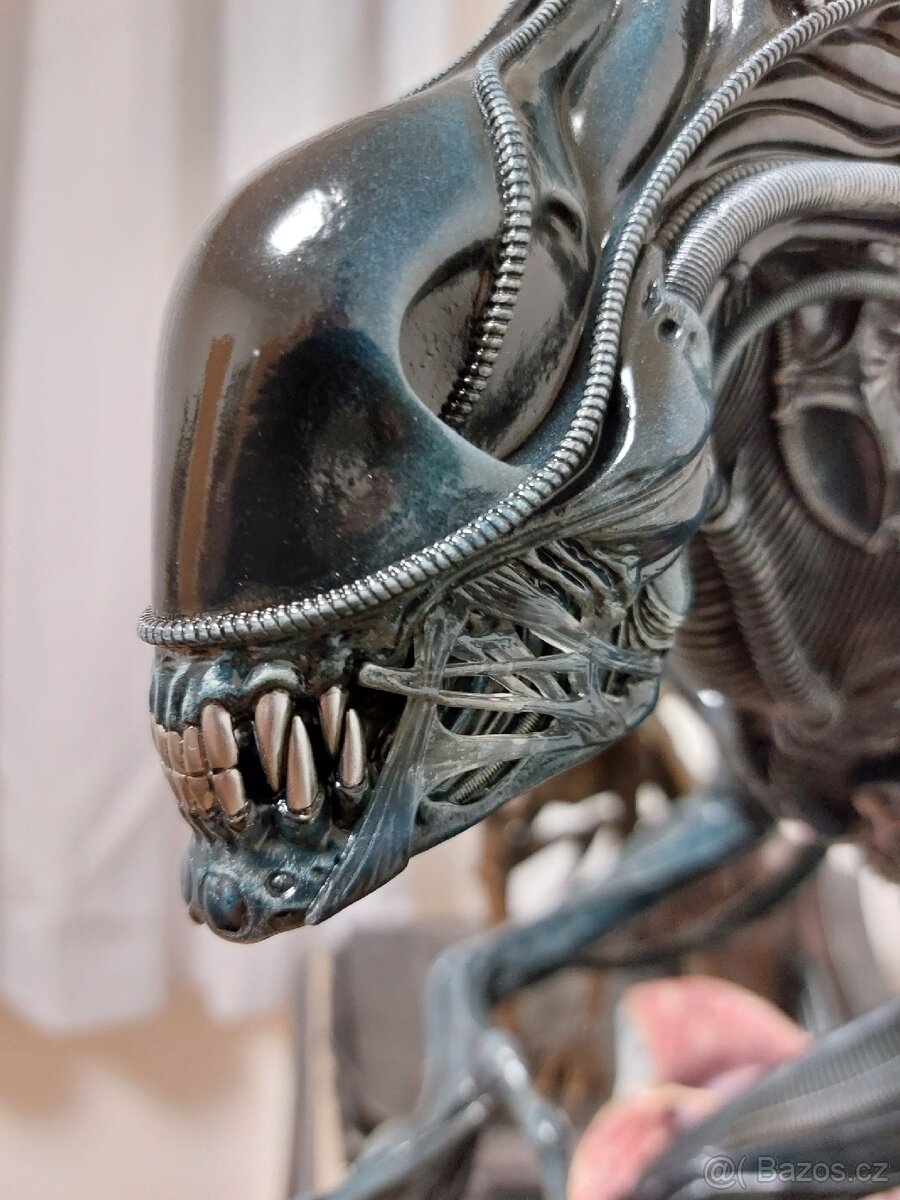 Alien Warrior Prime 1 Studio - 10