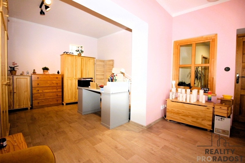 Prodej rodinného domu v Práčích - 10