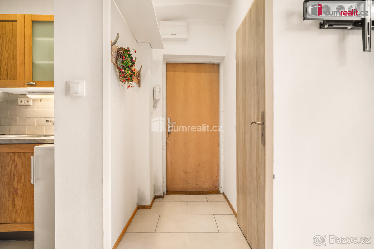 Prodej bytu 1+kk, 19,5 m2, Milíčova, Praha - 10