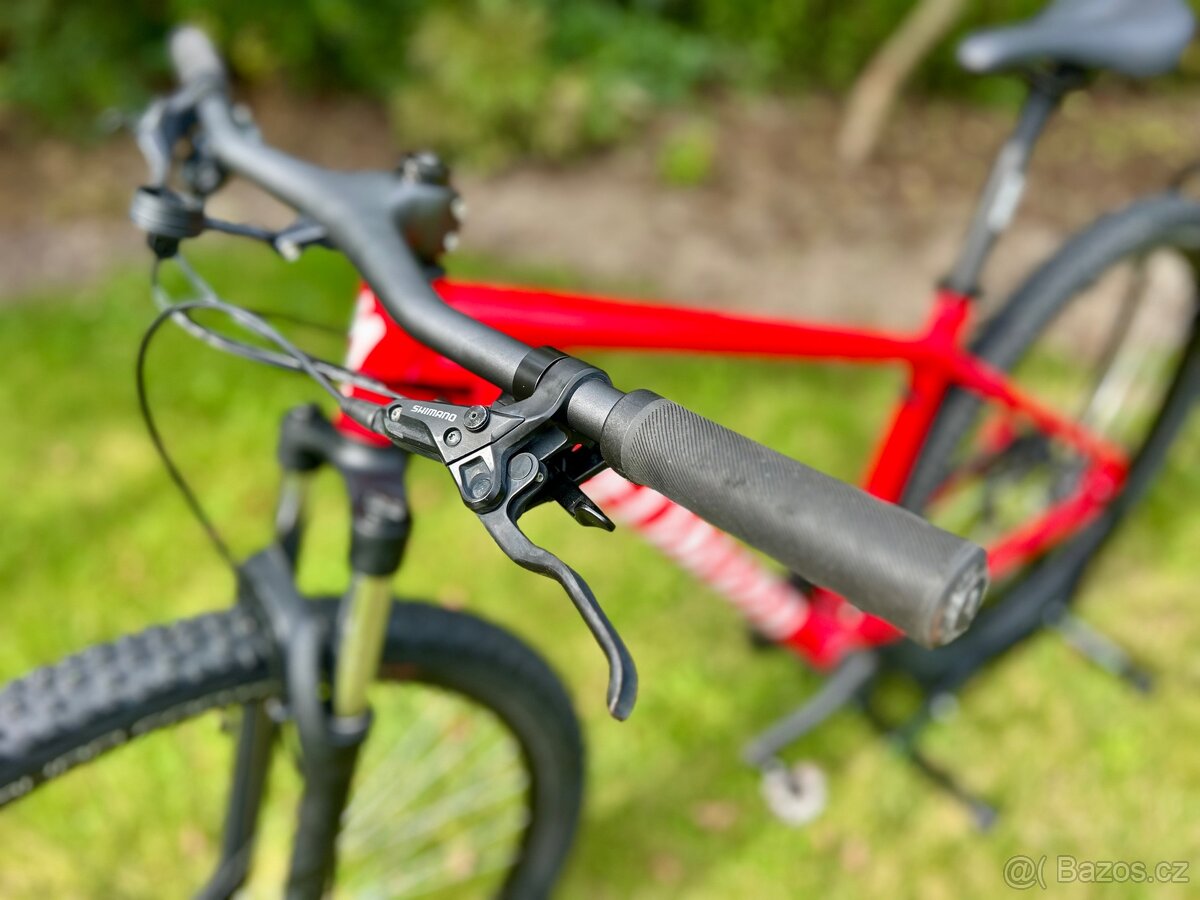 Specialized Rockhopper L - 10