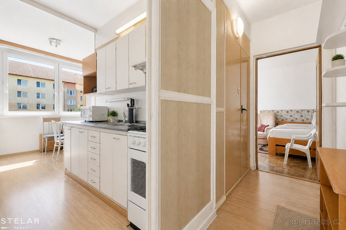 Prodej bytu 1+1 45 m² - 10