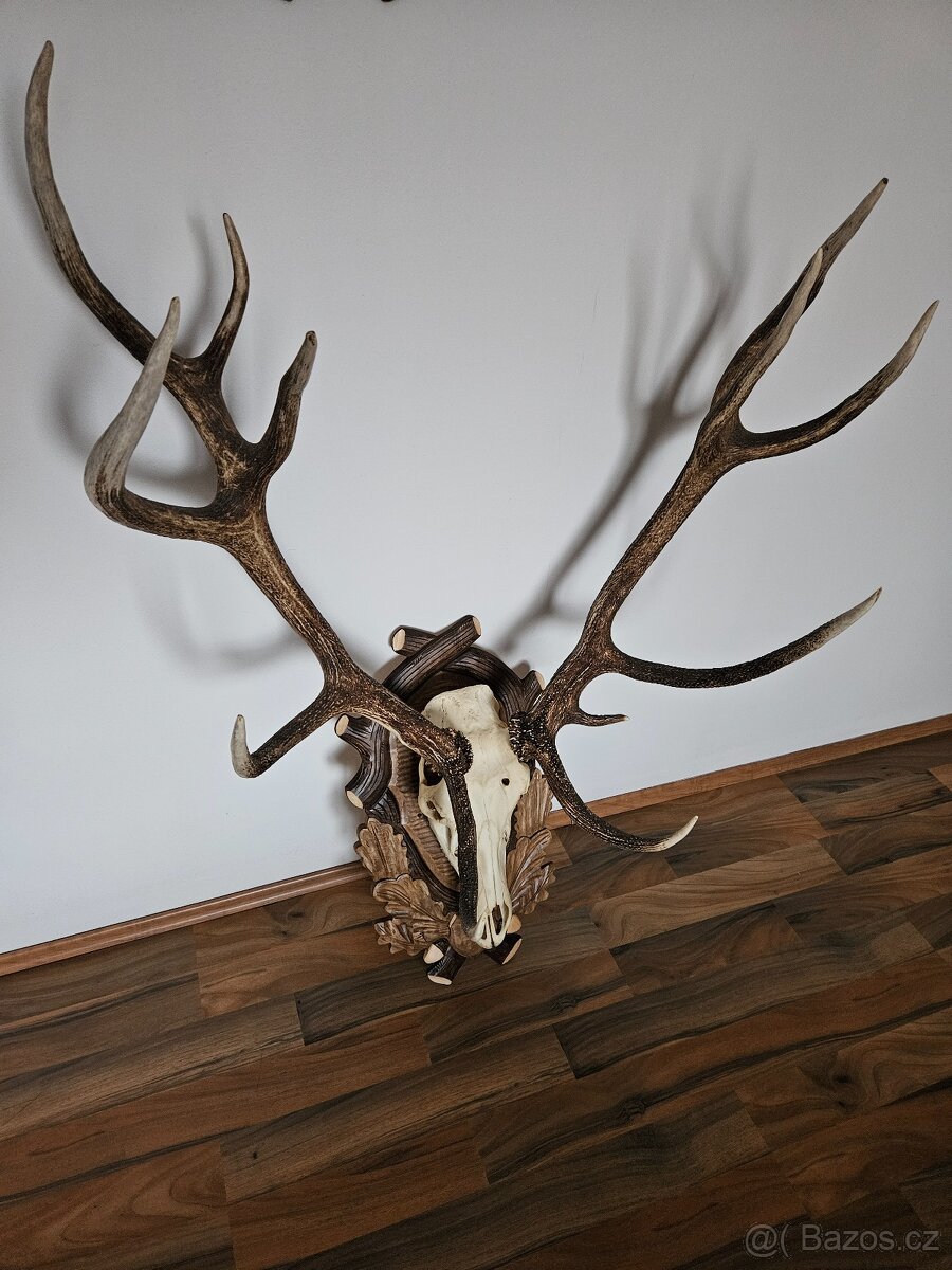 Lovecké trofeje - 10
