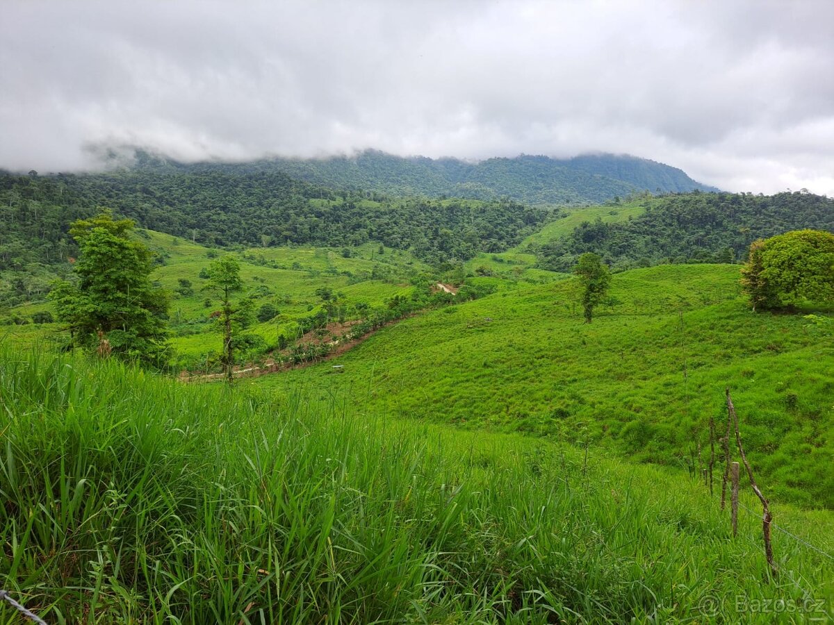 Farma Kostarika Guayacará 152 Ha - 10
