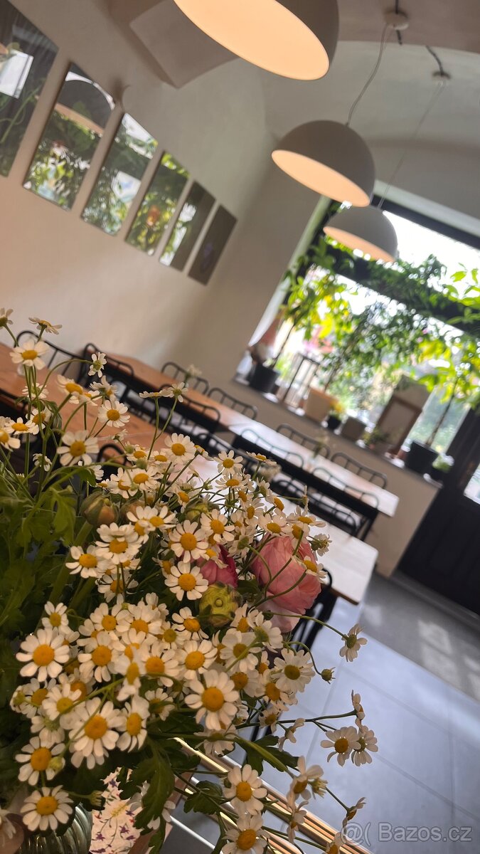 Bistro v České Lípě - 10