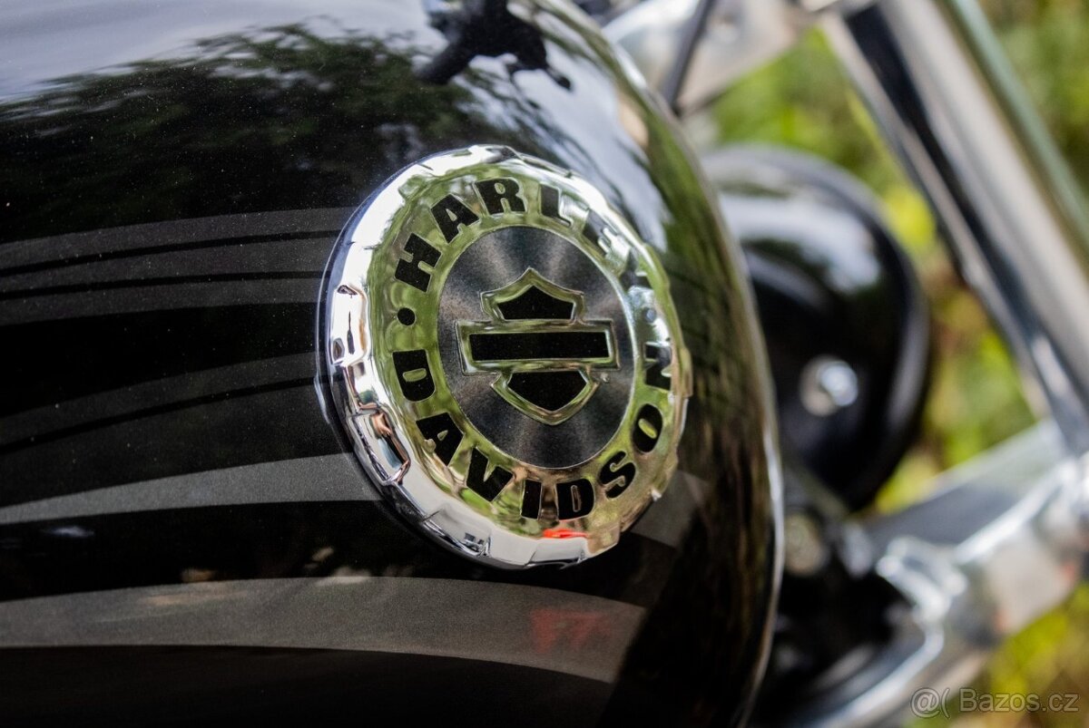 Harley Davidson FXSB / Softail Breakout - 10