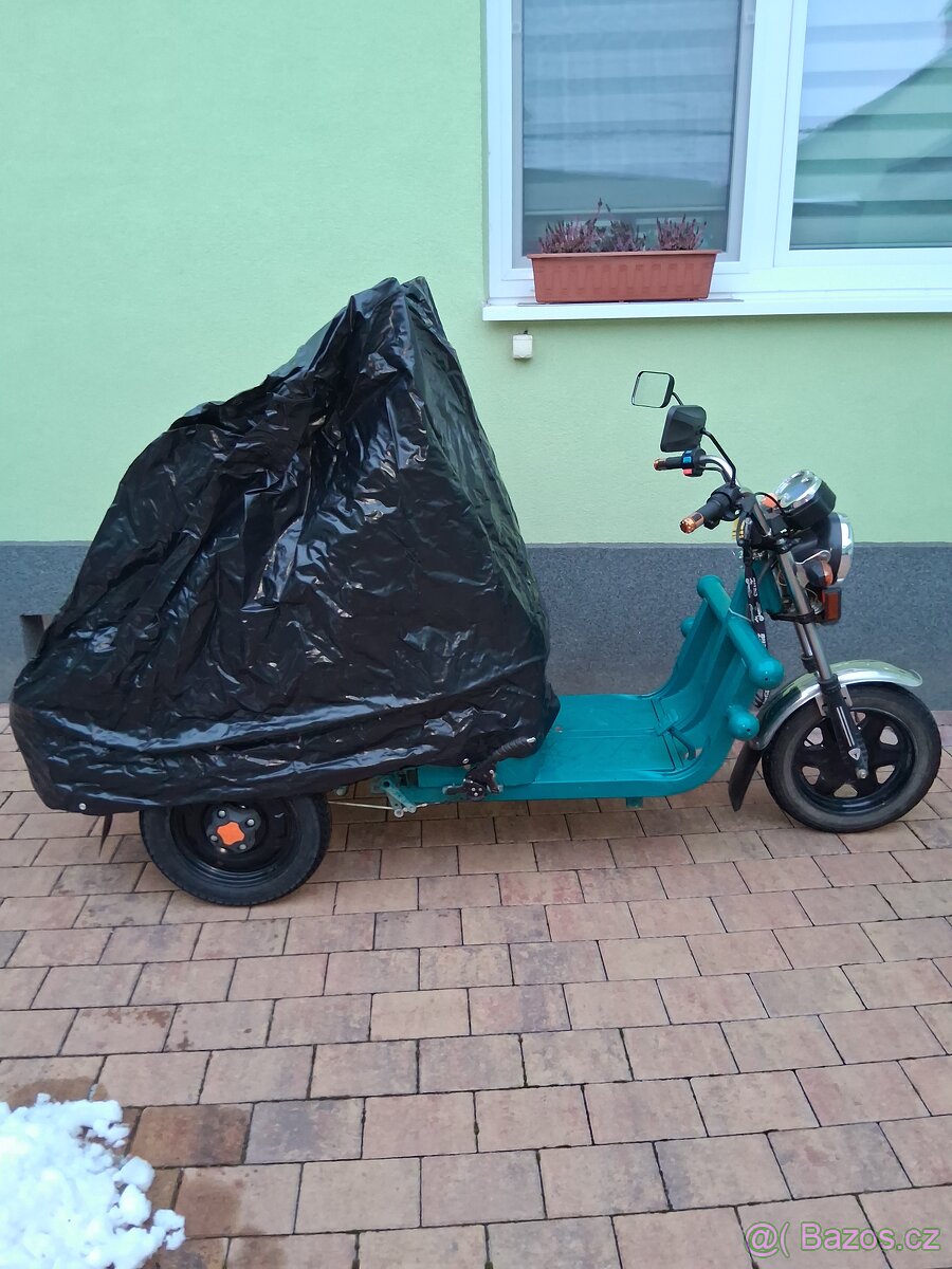 Elektrická tříkolka Cargo 250 - 10